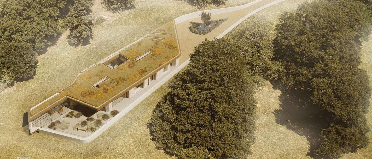 Deer will be able to walk onto the green roof