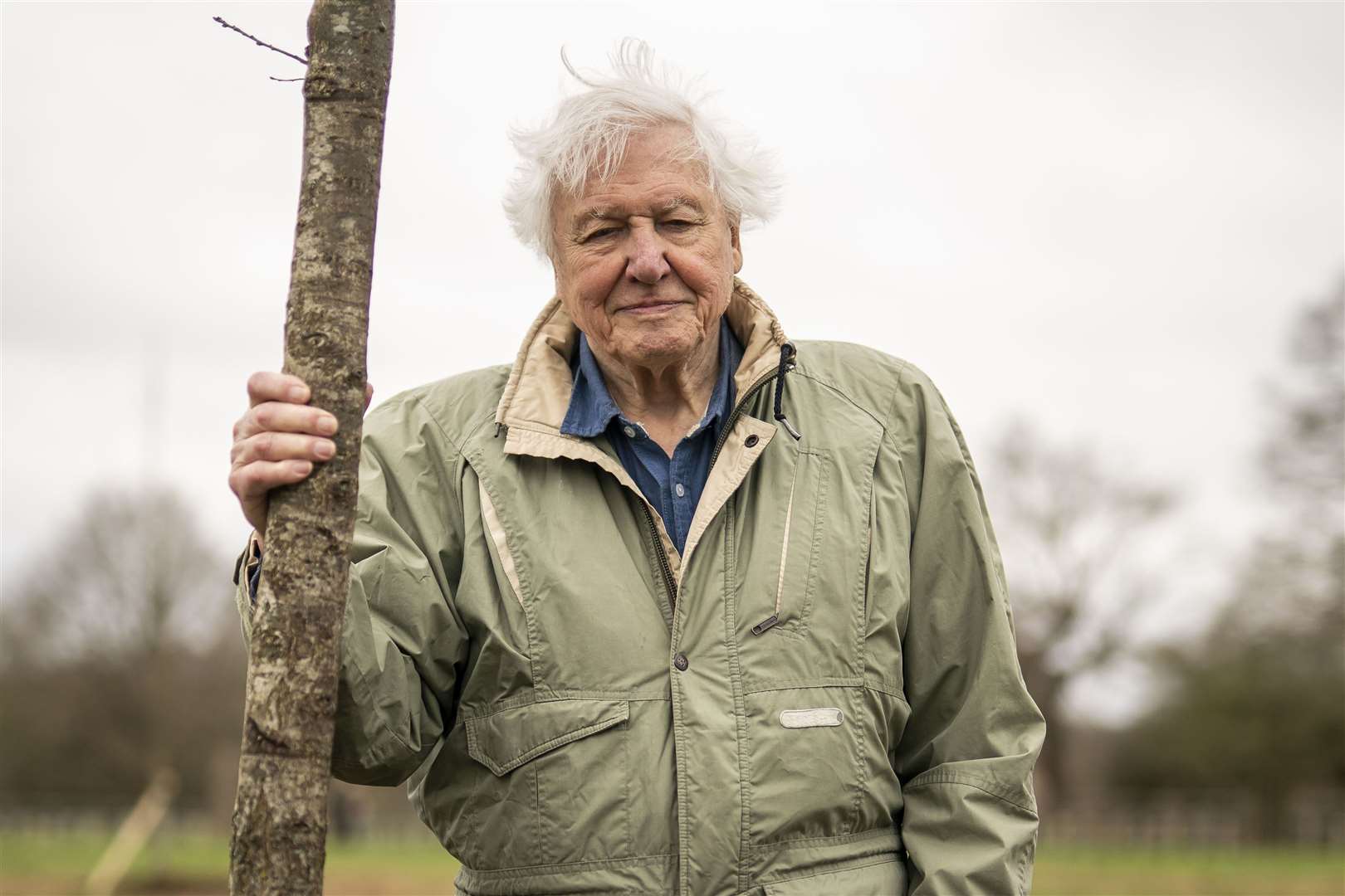 Sir David Attenborough plants a tree, in honour of Queen Elizabeth II, for The Queen’s Green Canopy in Richmond Park (Aaron Chown/PA)