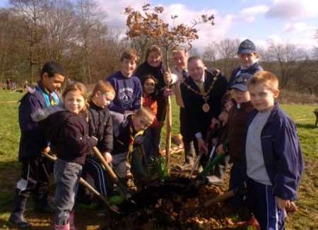 Mayor Harry Smith lends a hand at the tree-planting. Picture: STEVE CRISPE