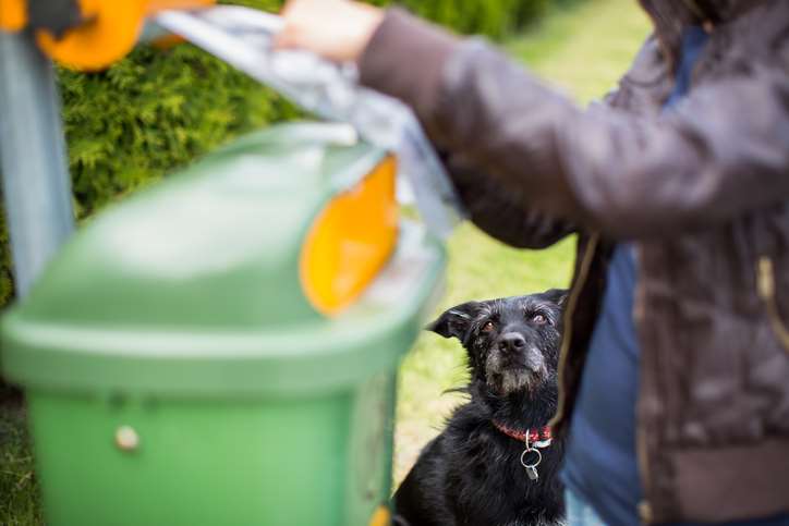 The dog DNA registration scheme will be launched this month. Picture: GettyImages