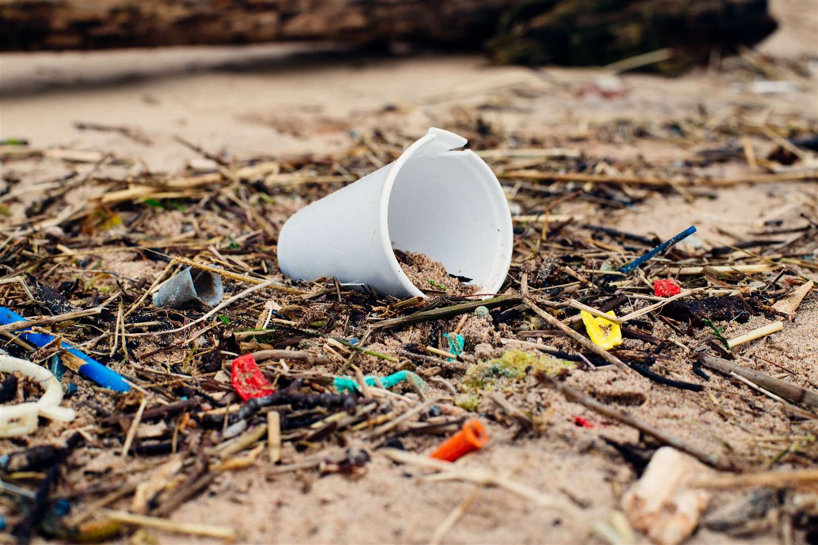 Litter, fishing and climate change are the biggest pressures on UK waters (Marine Conservation Society/PA)