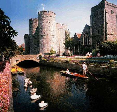 Swans used to be a regular sight in the Westgate Gardens in Canterbury