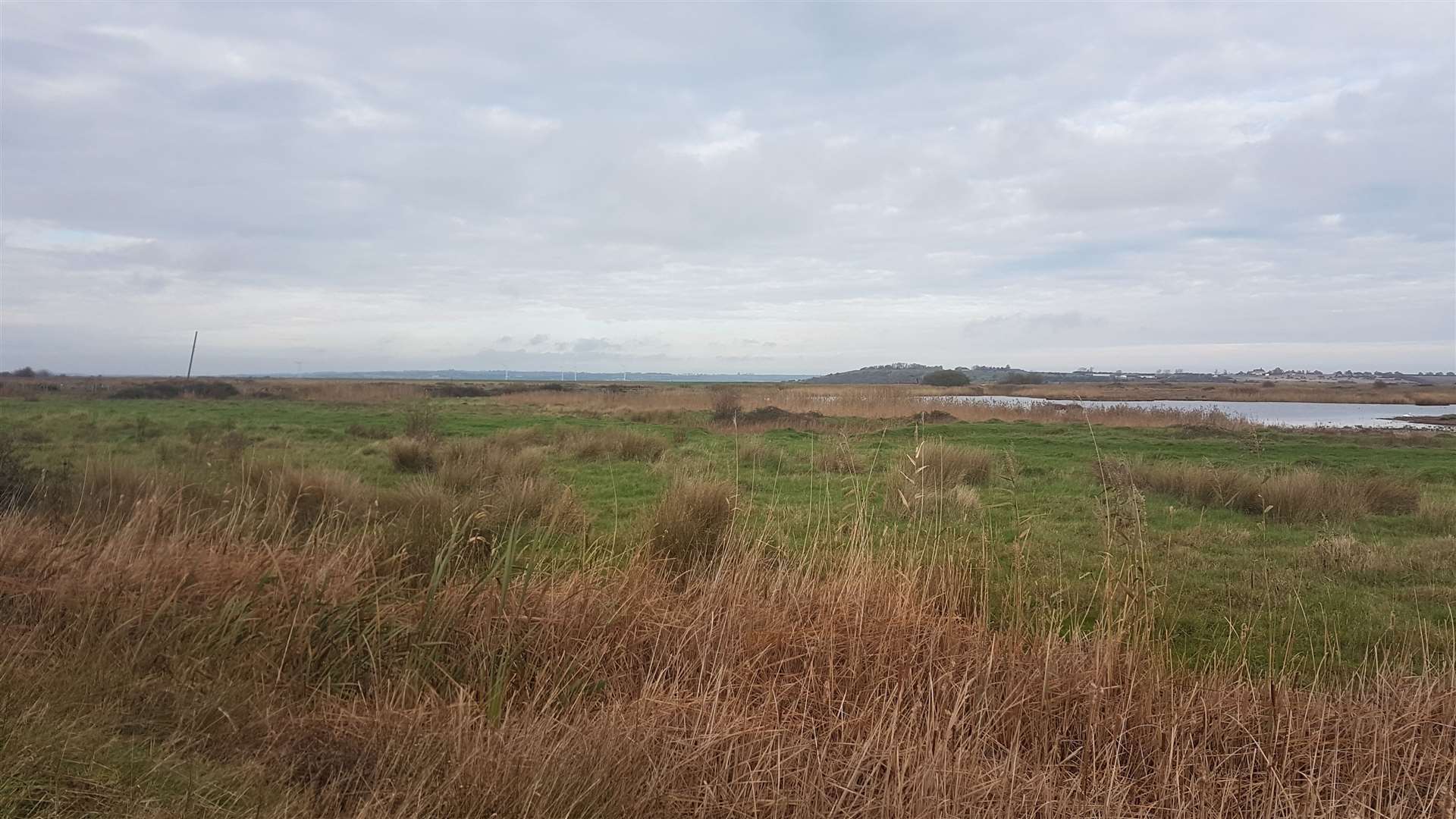 Oare Marshes nature reserve, near to where a body was found