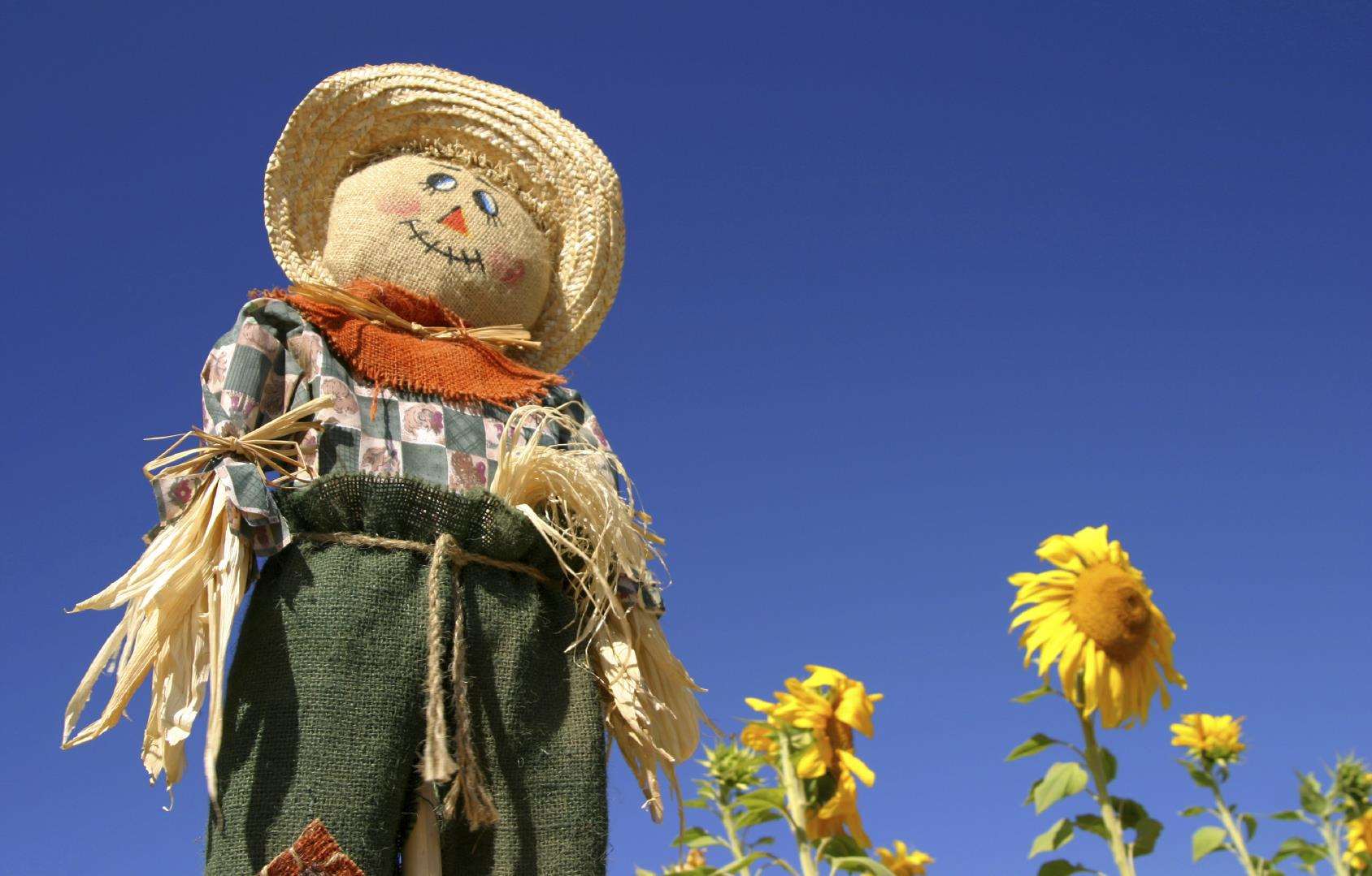 Scarecrows will be out in force