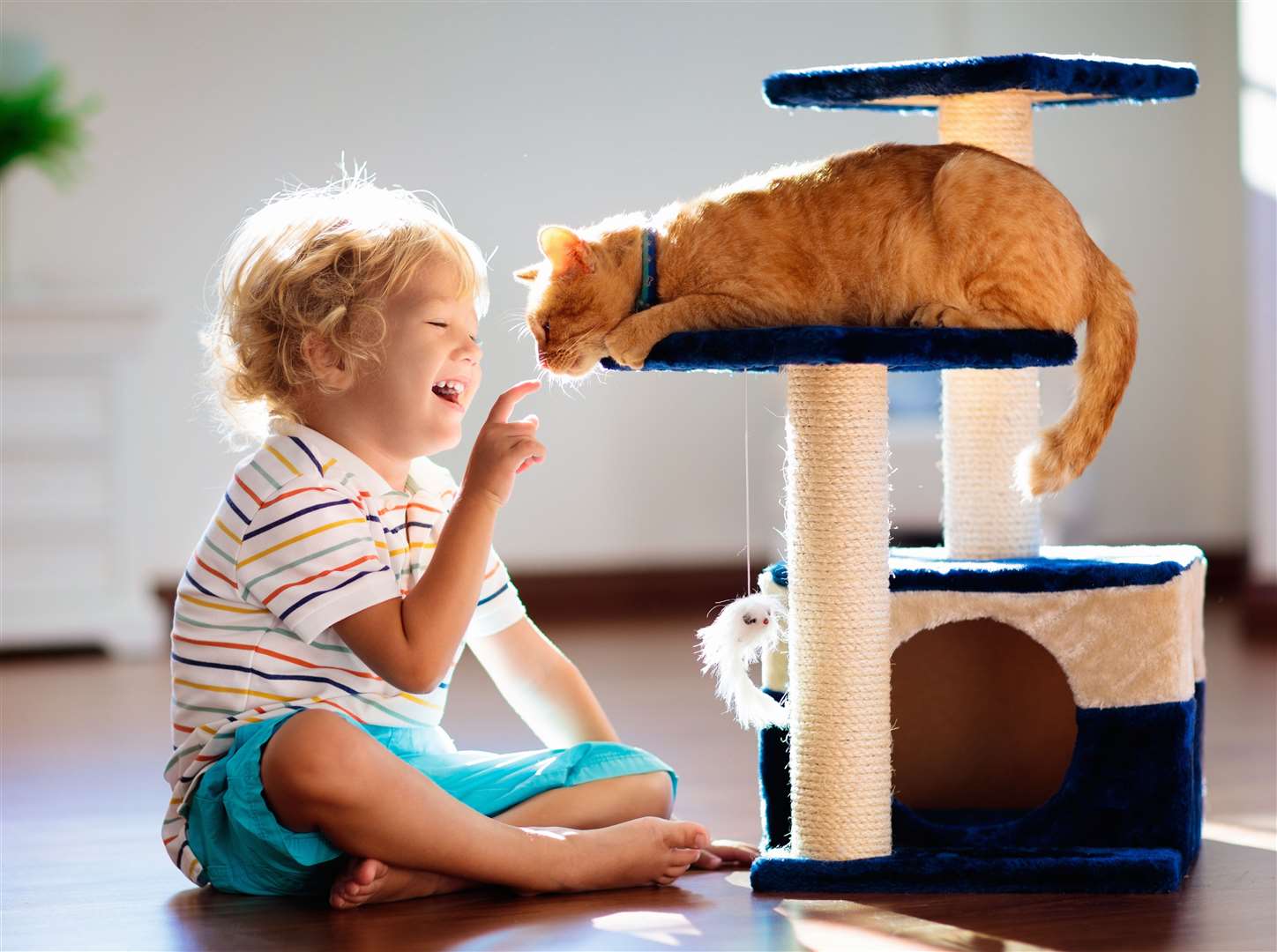 Children and cats have been banned from the development. Photo: Stock