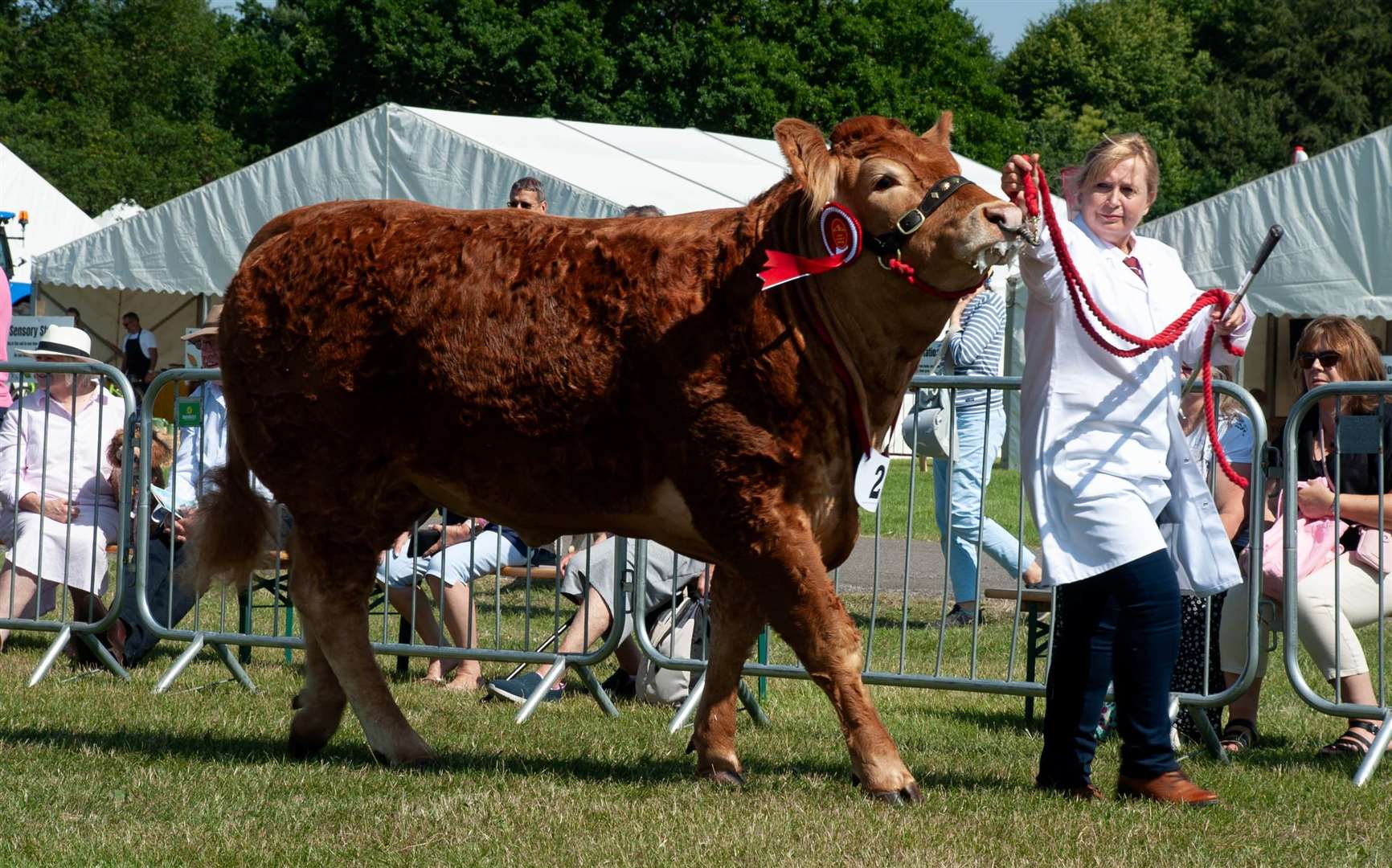 Animals are still the stars of the show with livestock displays, agility courses and Best in Show competitions. Picture: Kent County Agricultural Society