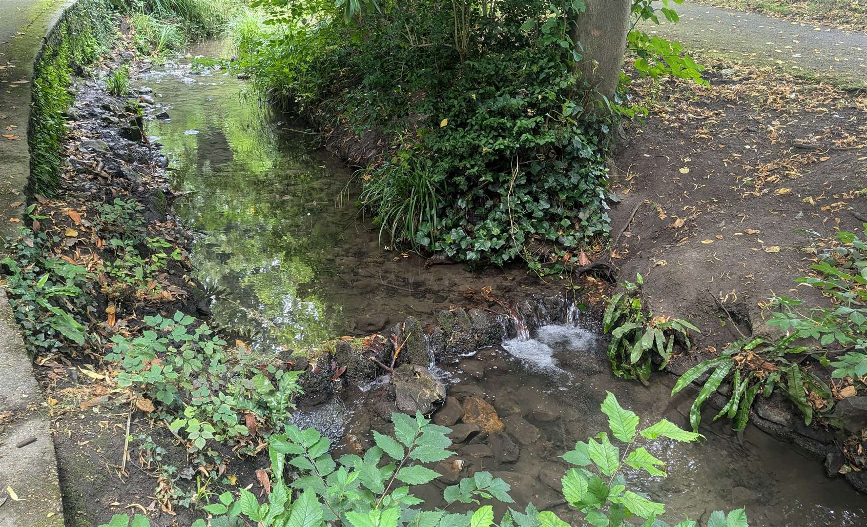 The Pent stream in Folkestone usually runs as little more than a trickle but it can swell in heavy rain