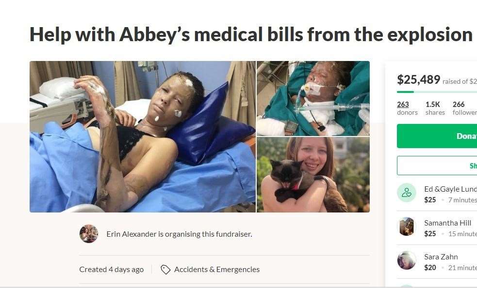 GoFundMe page raising money for Abbey Alexander (15443654)