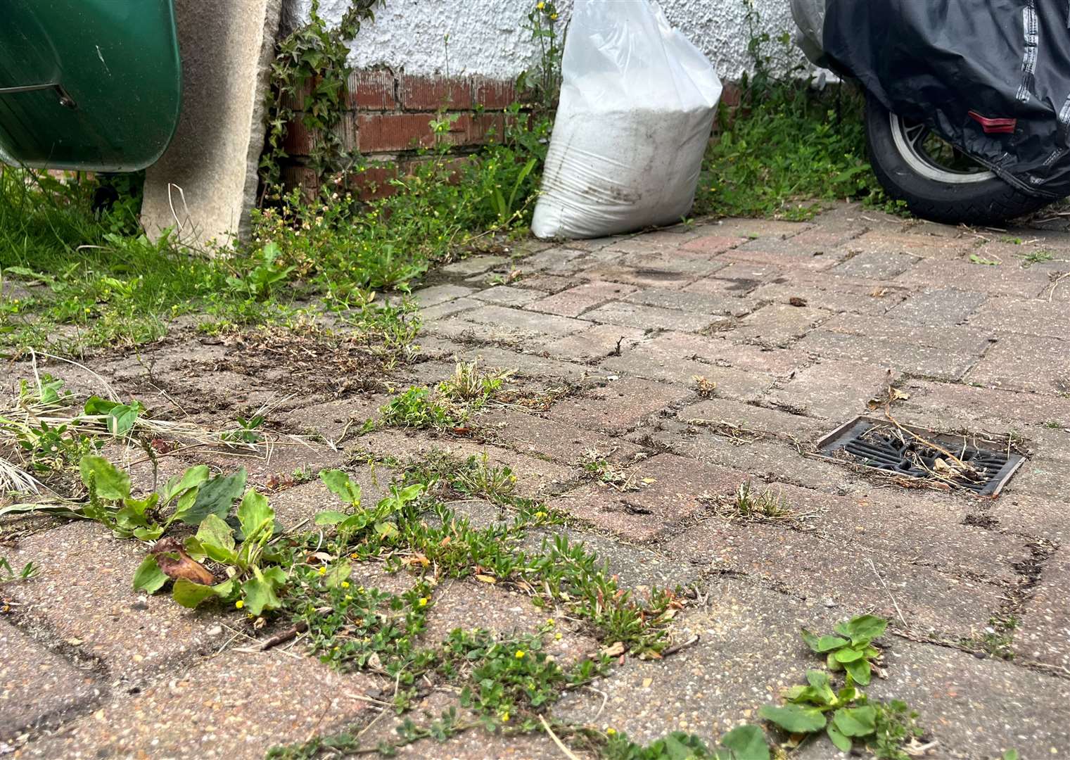 Mr Watts’ driveway is being taken over by weeds