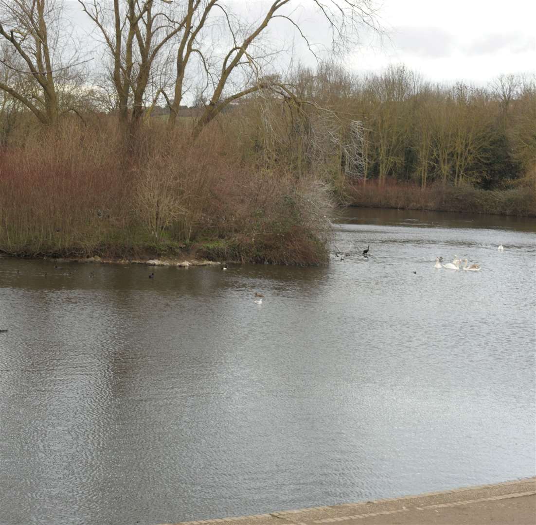 Capstone Park.Picture: Steve Crispe.