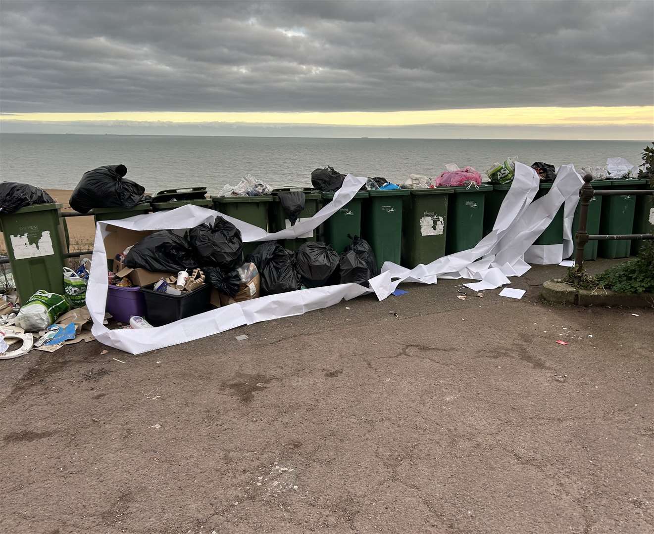 Residents are calling for all of the bins to be removed and replaced. Picture: Louis Tomlinson