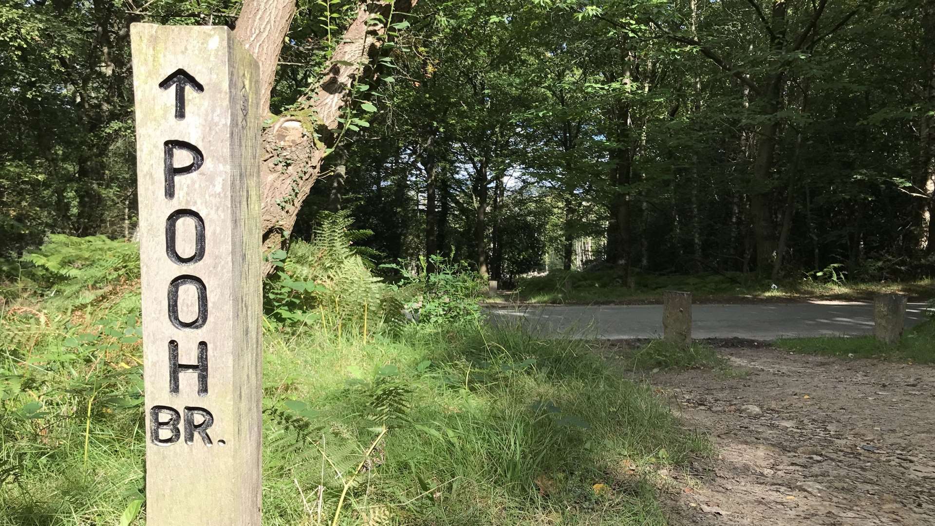 Approaching Pooh Bridge at Ashdown Forest Picture: PA Photo/Hannah Stephenson