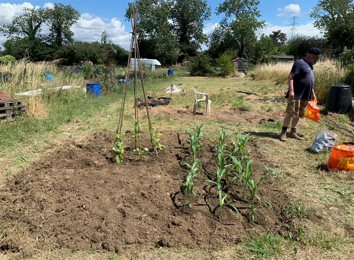 Claire Pearce has an allotment on Kirby Road in Dartford. Photo: Claire Pearce