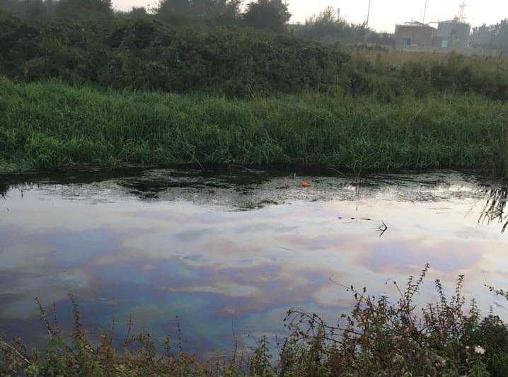 A fisherman spotted oil in the River Stour near Vauxhall Avenue. (4910760)