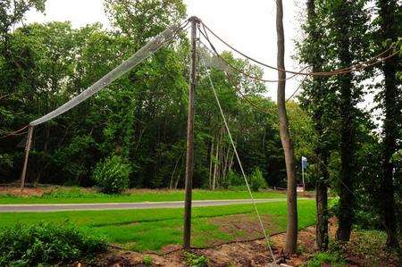 The dormouse bridge at Leybourne Grange