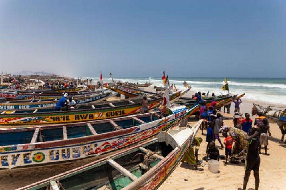 The fishmeal and oil industry is putting millions of people at risk of food insecurity, Greenpeace and changing markets say (Elodie Martial/Greenpeace)