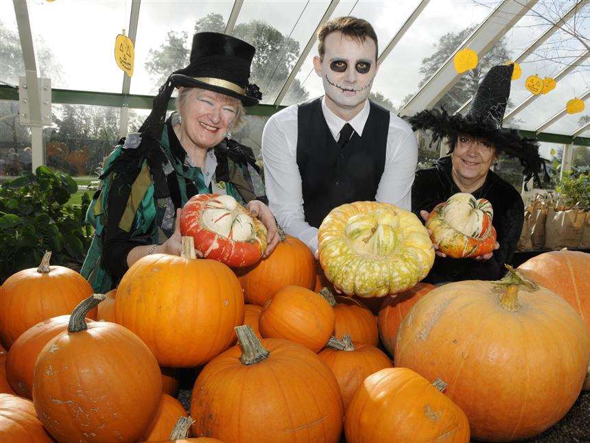 Godinton House staff Margery Thomas, Simon Davis and Diane Bradfied with some of the Pumpkins they have grown