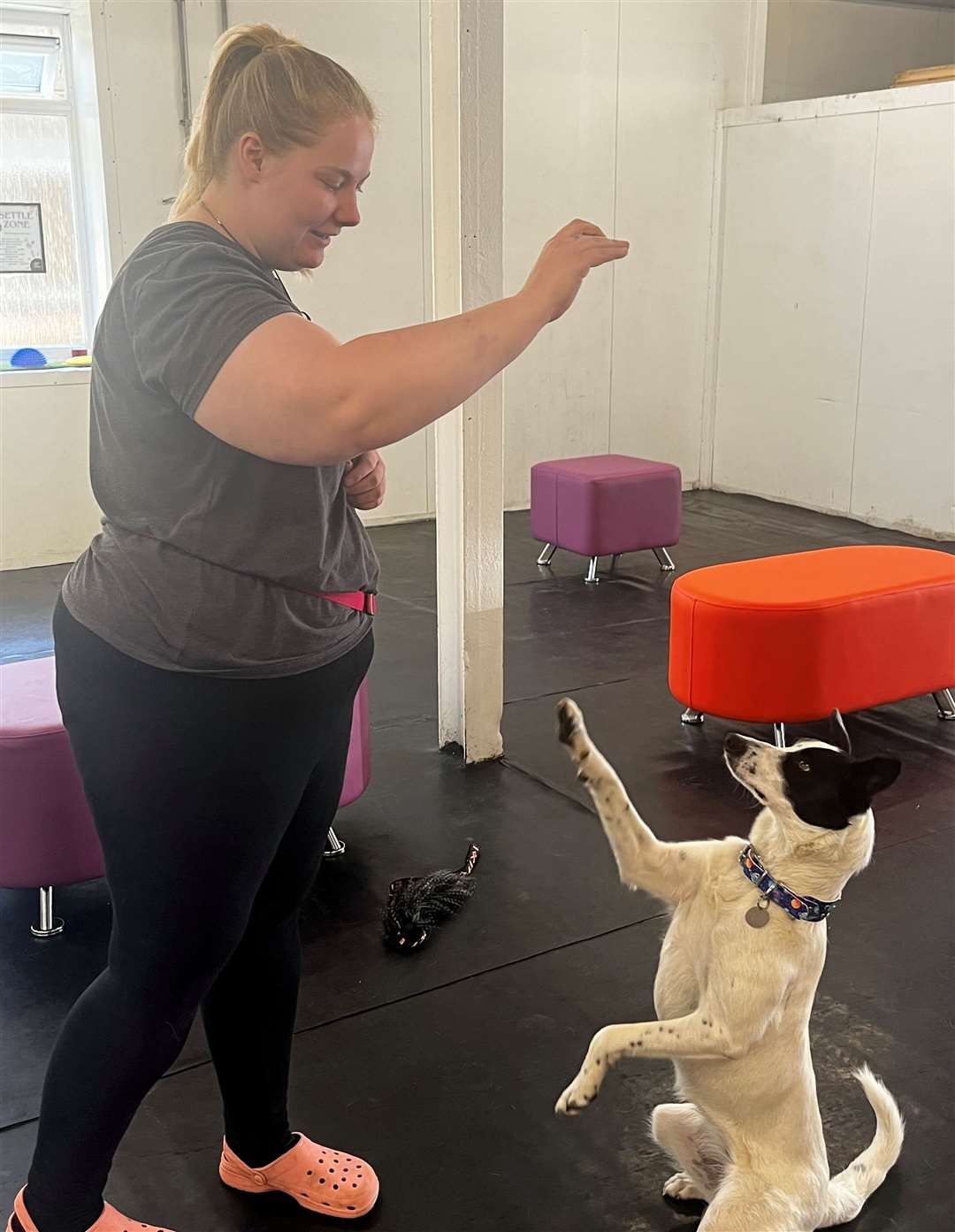 Ellie Amos with Nova at Canine Paws Academy in Mockbeggar Business Park, Cliffe