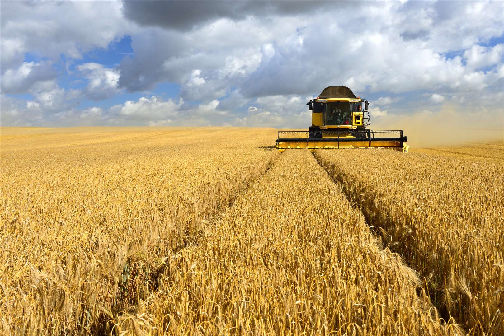 The fire destroyed part of a corn field. Picture: iStock.