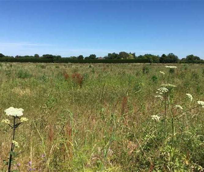 Many villagers do not want to see a new housing estate built on land in Blean, near Canterbury