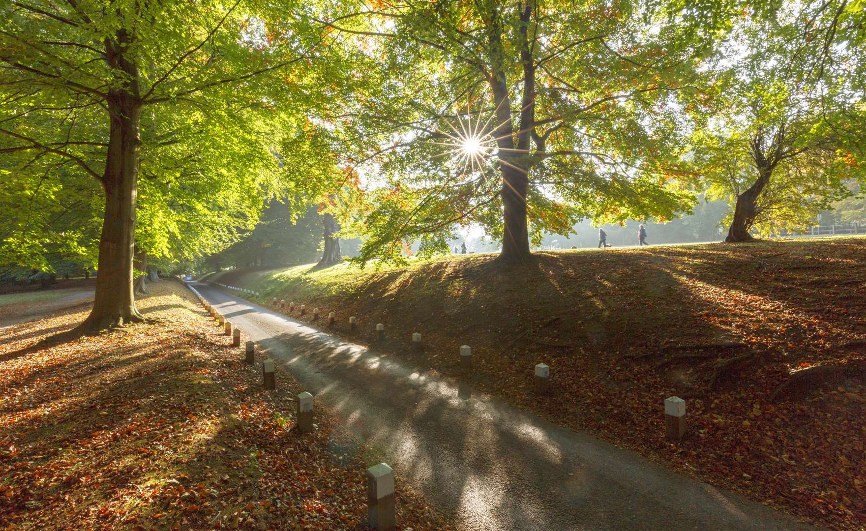 Mote Park in Maidstone Picture: Maidstone Borough Council