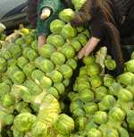 People can help by, among other things, preparing a locally-sourced Christmas dinner