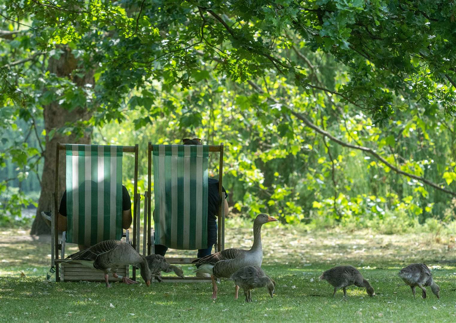 People relaxing in deckchairs at St James’s Park in central London (Jeff Moore/PA)