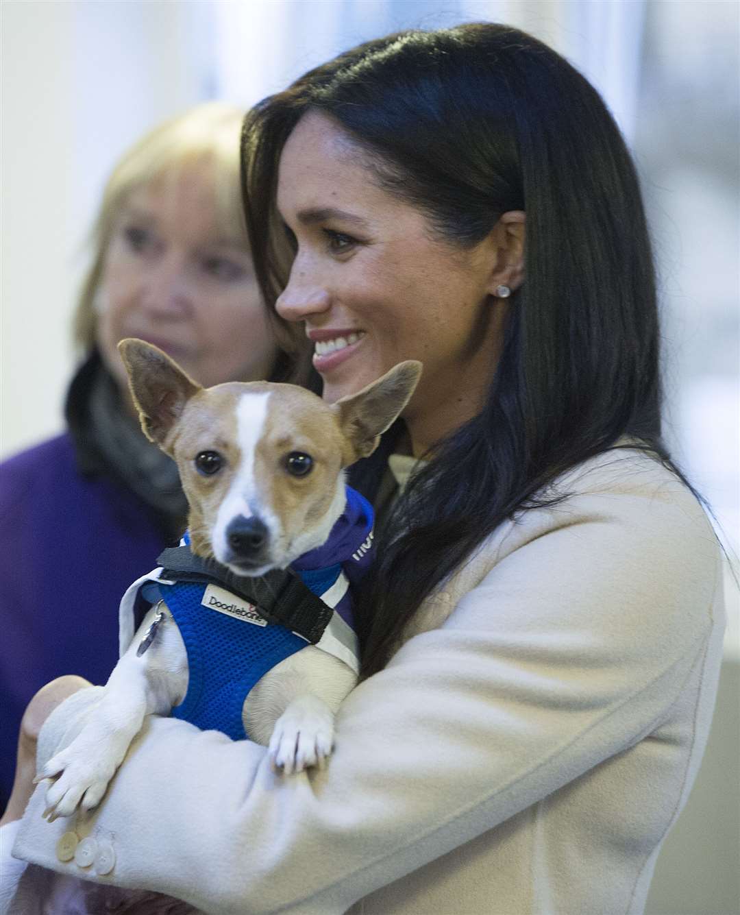 Meghan holding a Jack Russell called Minnie during her visit to Mayhew last year (Eddie Mulholland/Daily Telegraph)