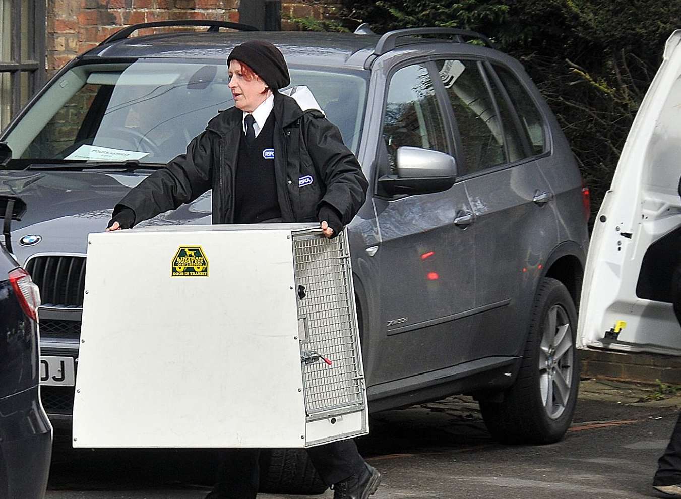 A dog handler removing one of the animals following the attack. Picture: Philip Hoath