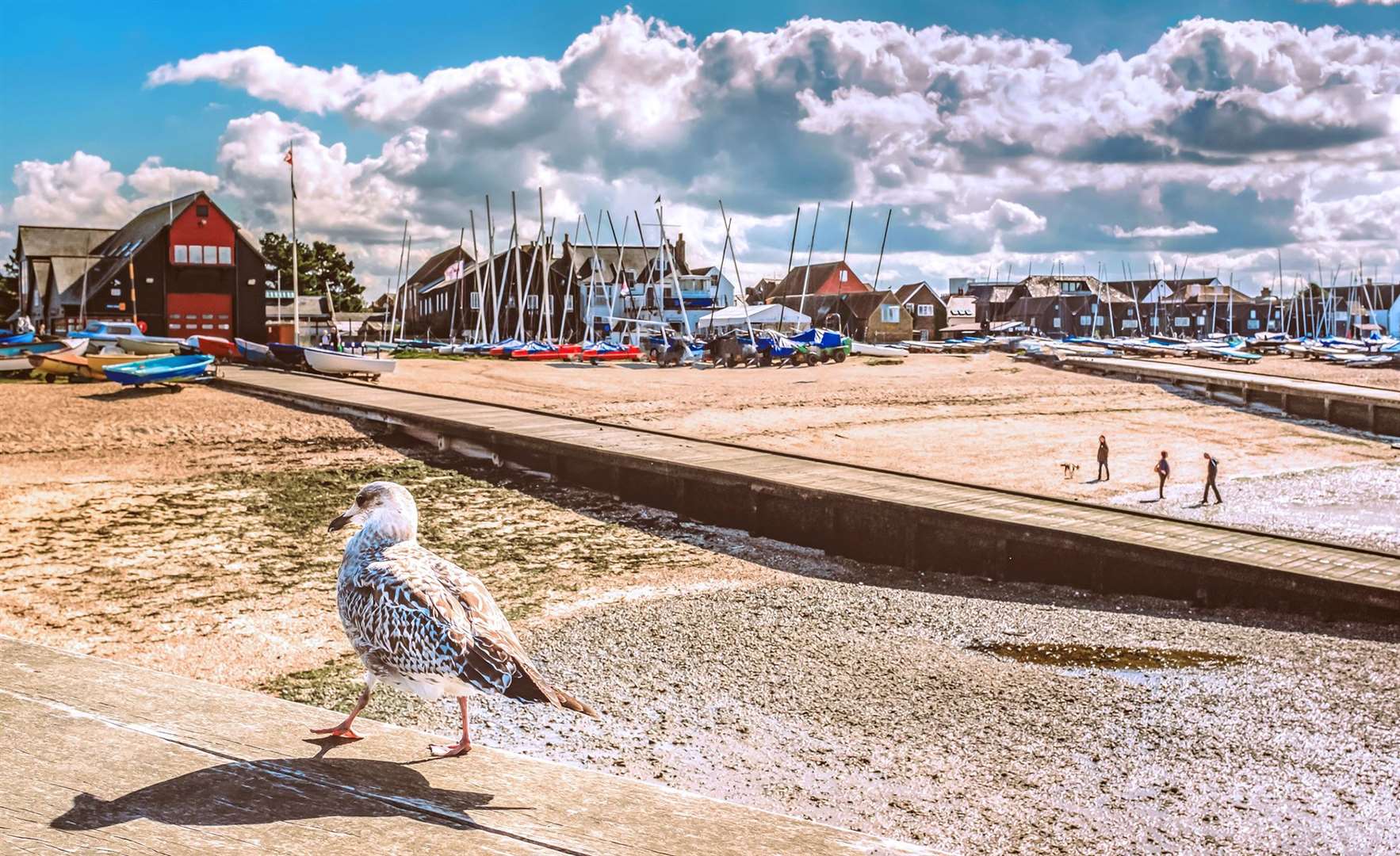 Head to Whitstable for Oyster Festival fun this weekend
