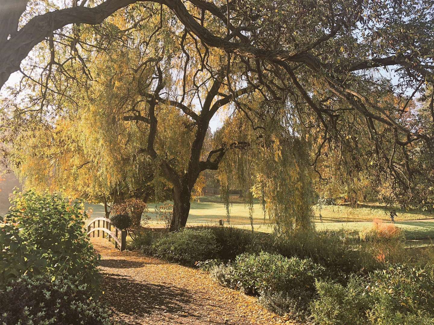 Hever Castle's grounds