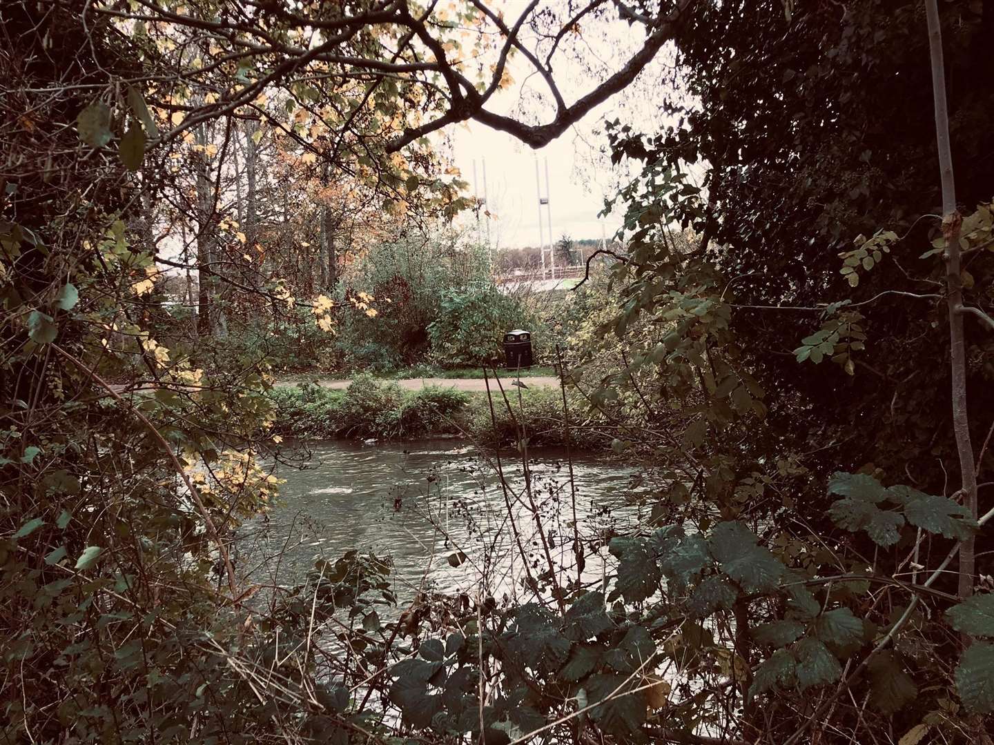 The spot where the group was targeting ducks on the River Stour