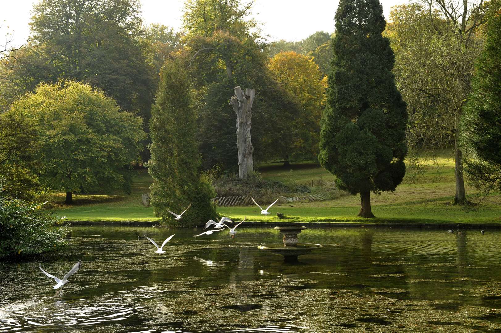 Kearsney Abbey will also be on the tour list by the Environmental Crime and Community teams during GBSC. Library picture: Tony Flashman