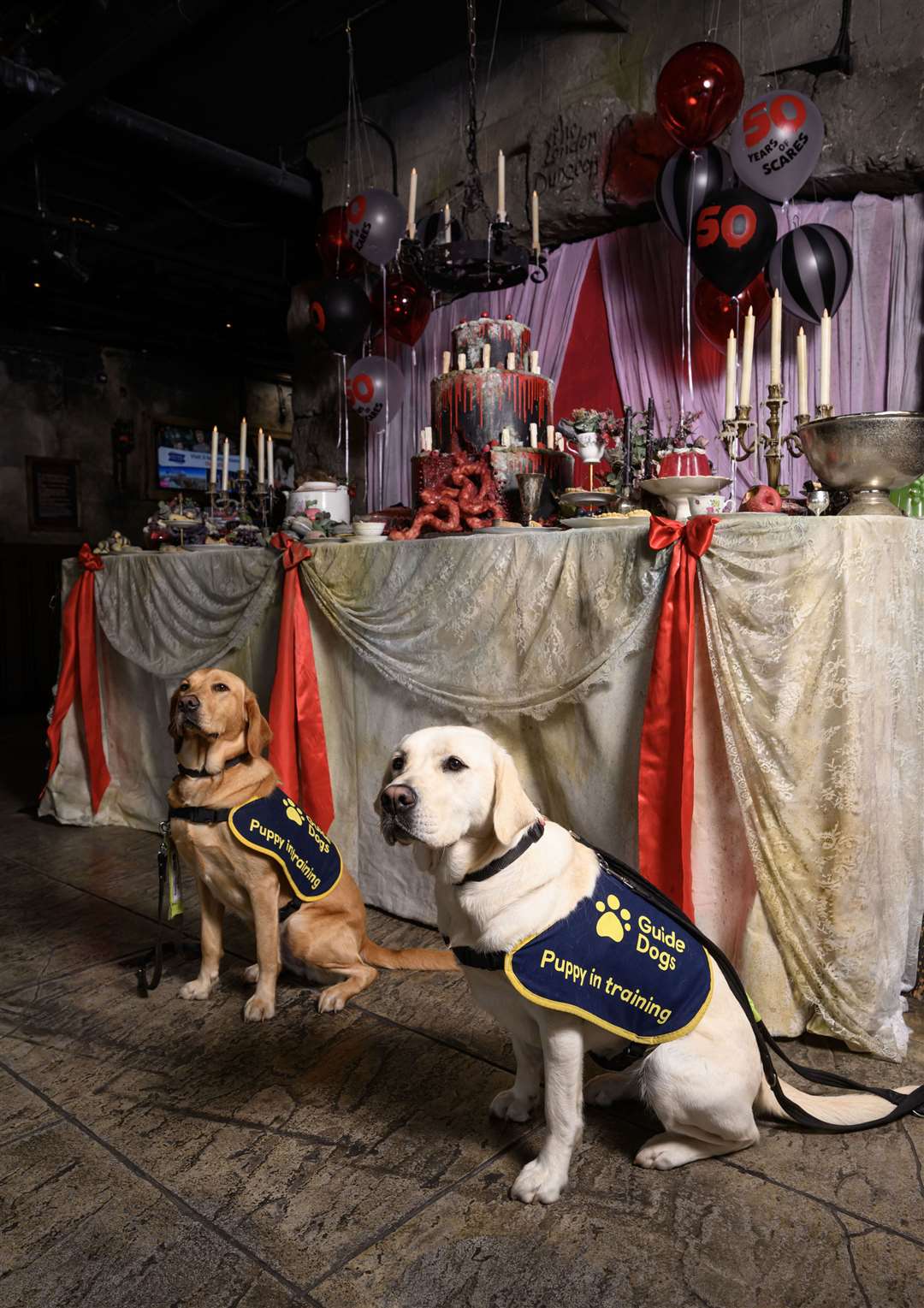 The London Dungeon, Blackpool Tower Dungeon, Edinburgh Dungeon, and Warwick Castle are opening their doors this month to guide dog puppies (Doug Peters/PA)