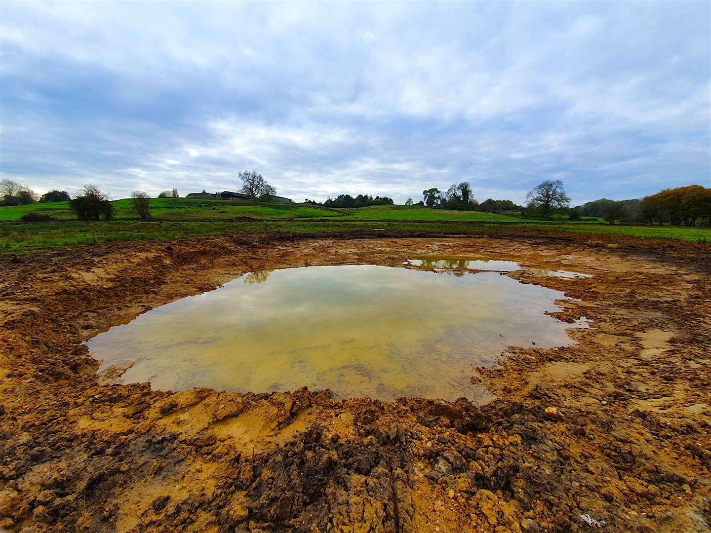 The ponds are high-quality habitat (Newt Conservation Partnership/PA)