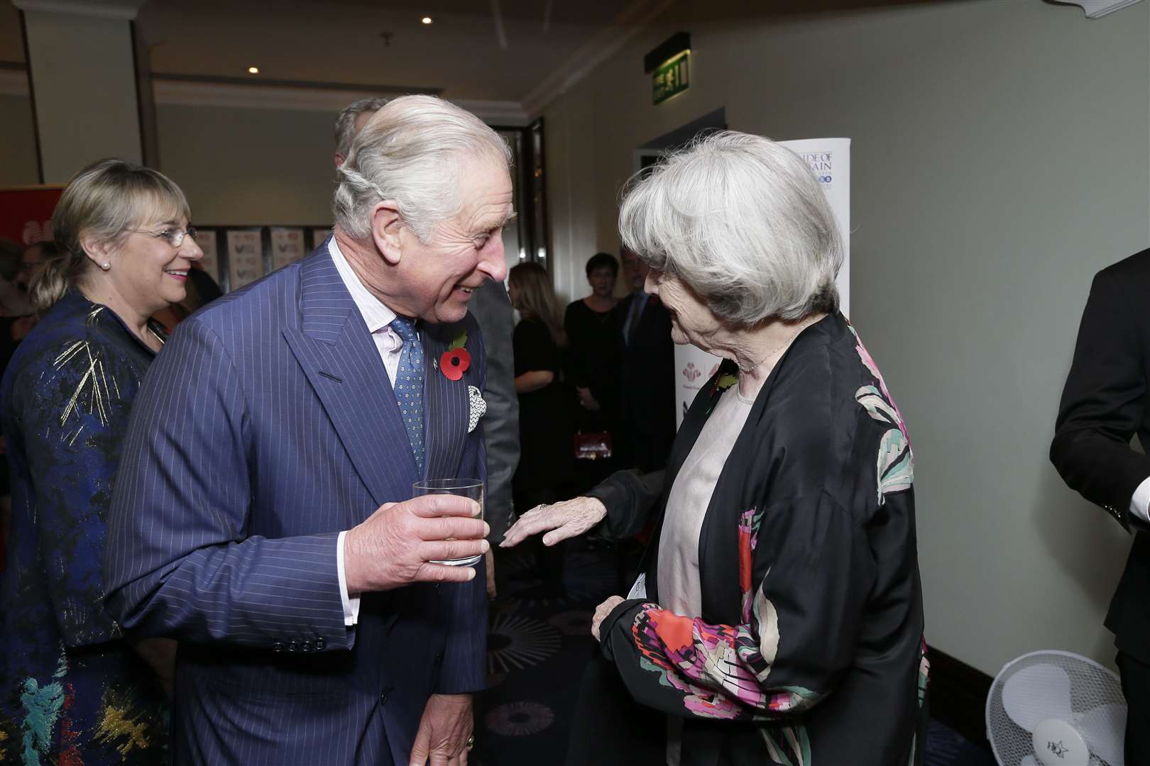 The King (then the Prince of Wales) speaks with Dame Maggie Smith at the Prince’s Trust reception at the 2016 Daily Mirror Pride of Britain Awards (Adam Gerrard/Daily Mirror/PA)