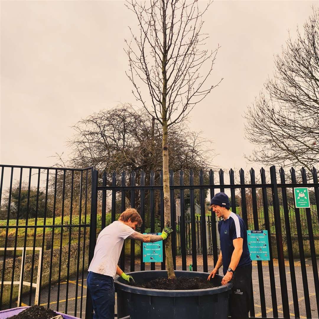 One of the movable trees in its planter. Picture: ACNF