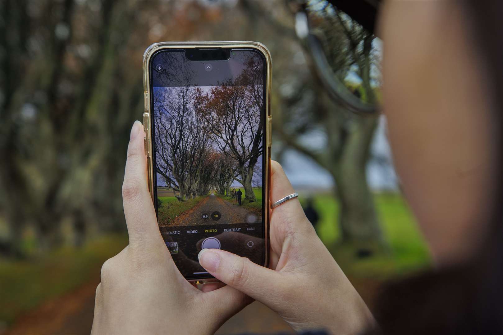 A Malaysian tourist takes a photo of the Dark Hedges as the operation to remove a number of trees at the Dark Hedges begins (Liam McBurney/PA)