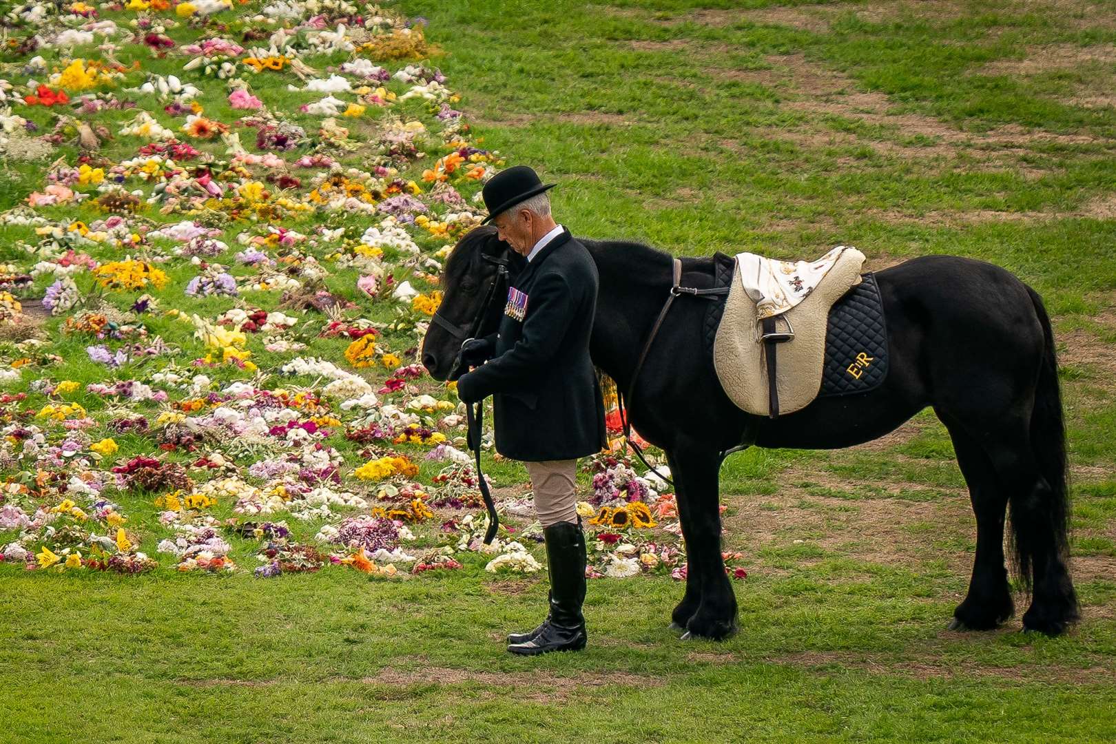 Fell Pony Emma (Aaron Chown/PA)