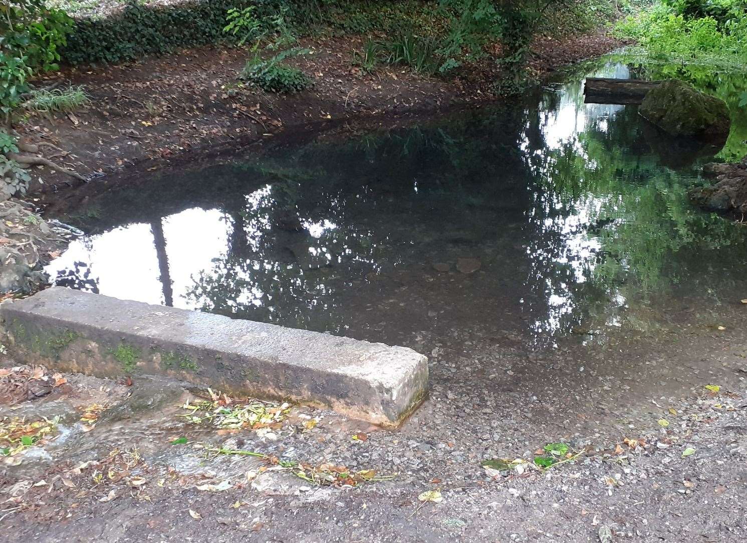 The pond where the water gathers before running downhill to the river