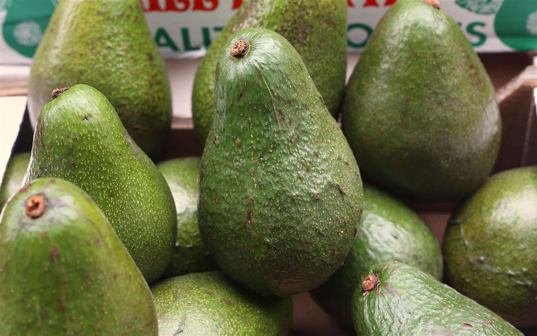 Avocados are among the fruits grown abroad with much greater use of pesticides (Philip Toscano/PA).