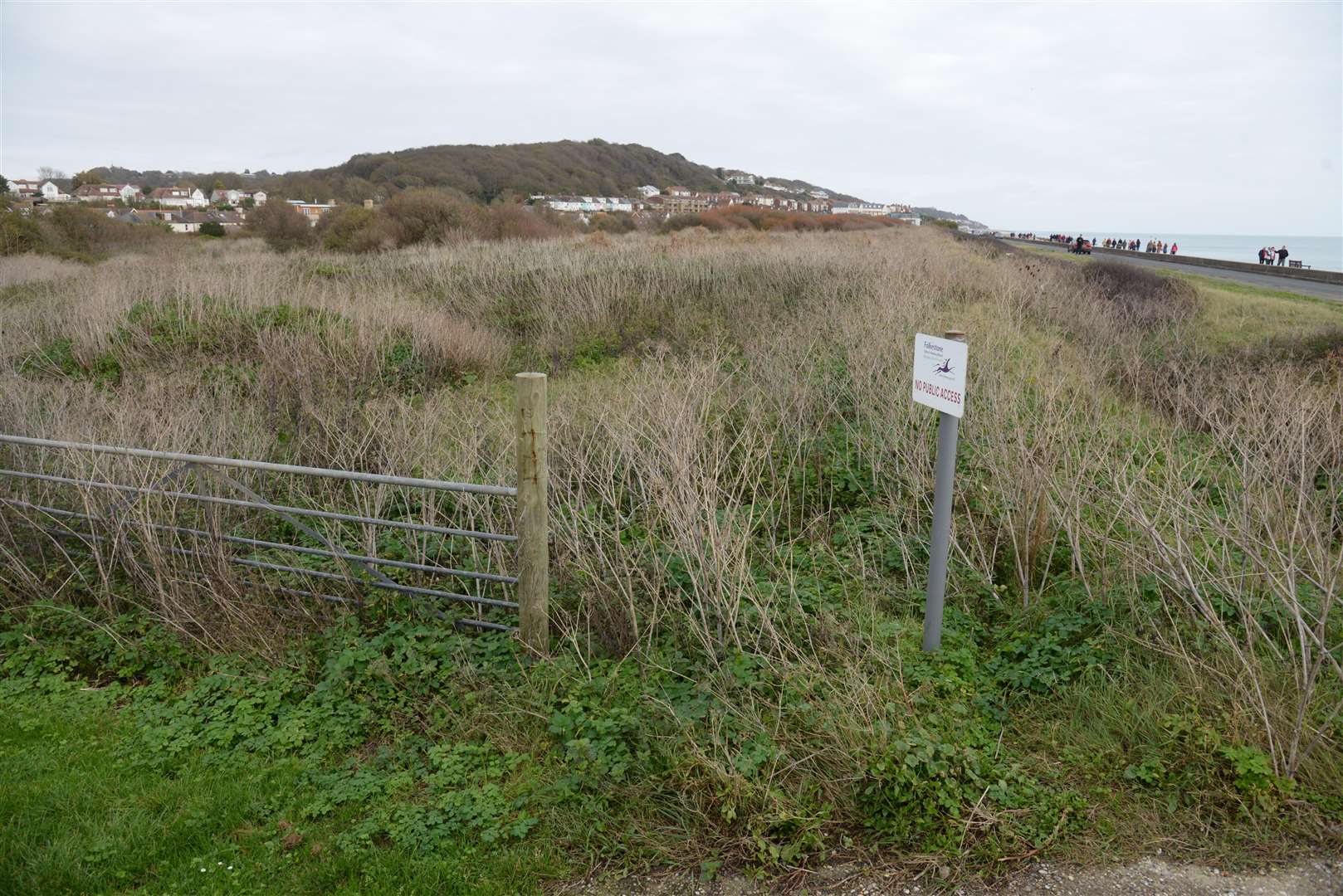 Land between the Royal Military Canal and the seafront, the site of proposed development along Princes Parade, Hythe. Picture: Chris Davey FM4975504 (3885790)
