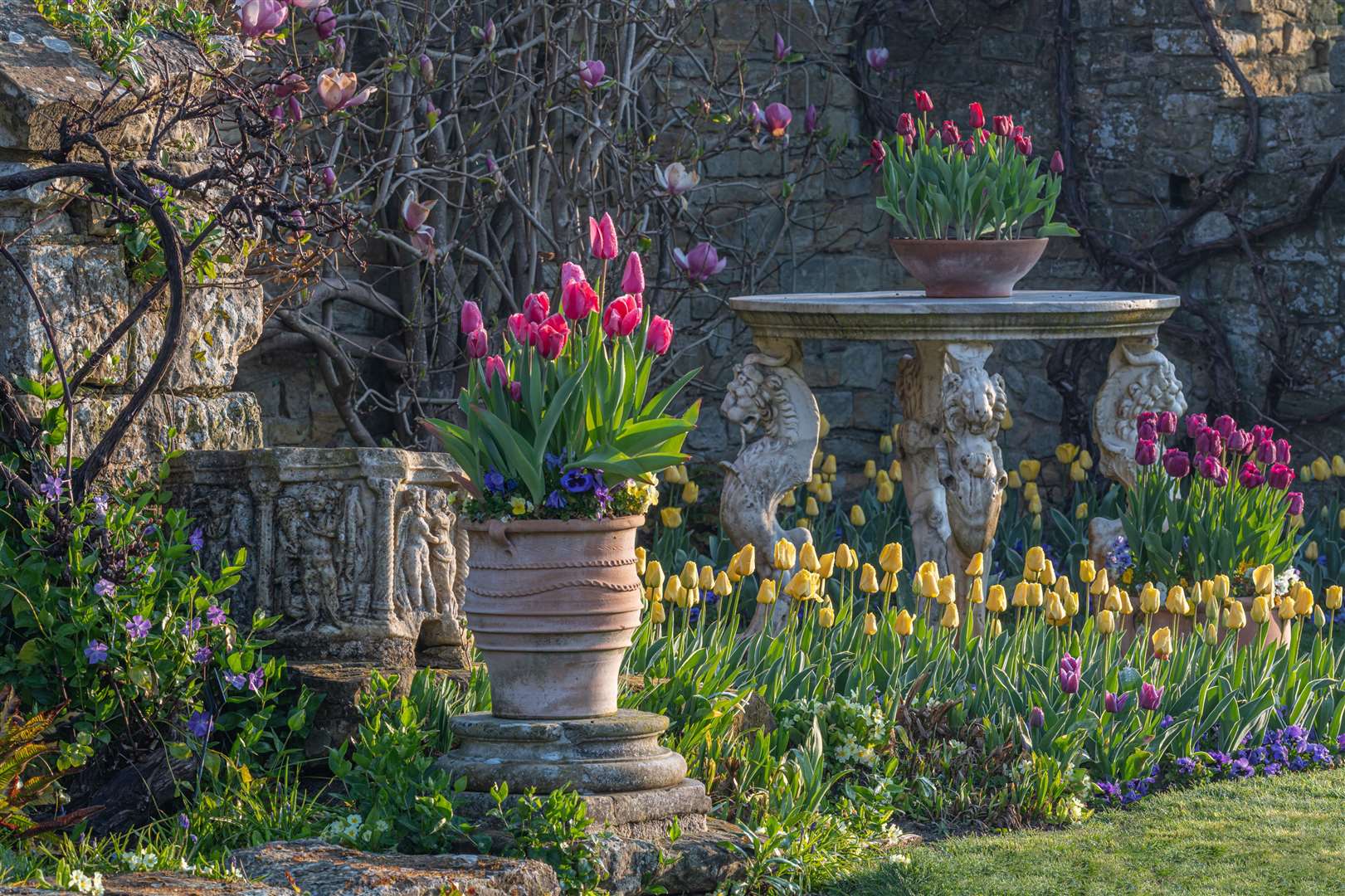 Tulips at Hever Castle & Gardens