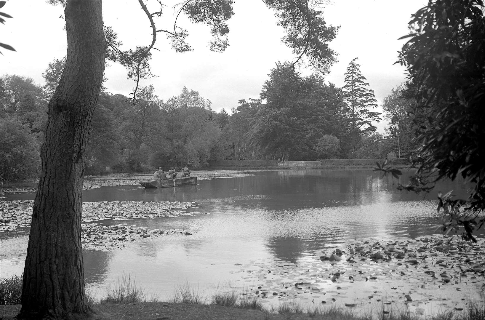 Marshall's lake at Bedgebury Pinetum,in June 1955. Image: Forestry England.