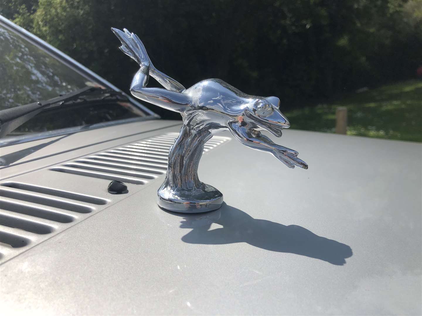 The car’s silver frog mascot on the bonnet (Reeman Dansie/PA)