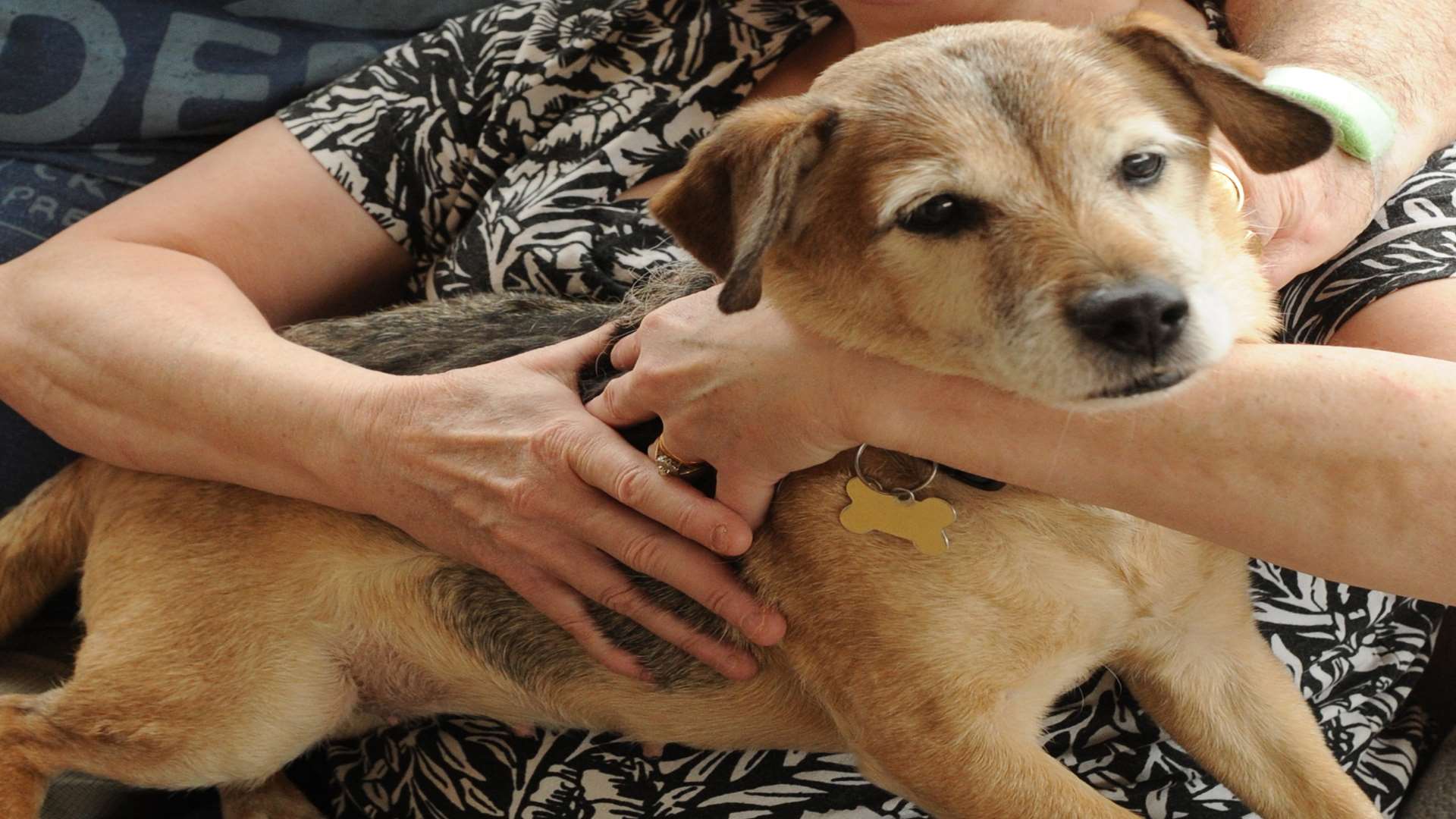 Lola with her owners Sylvia and Bernard Flynn