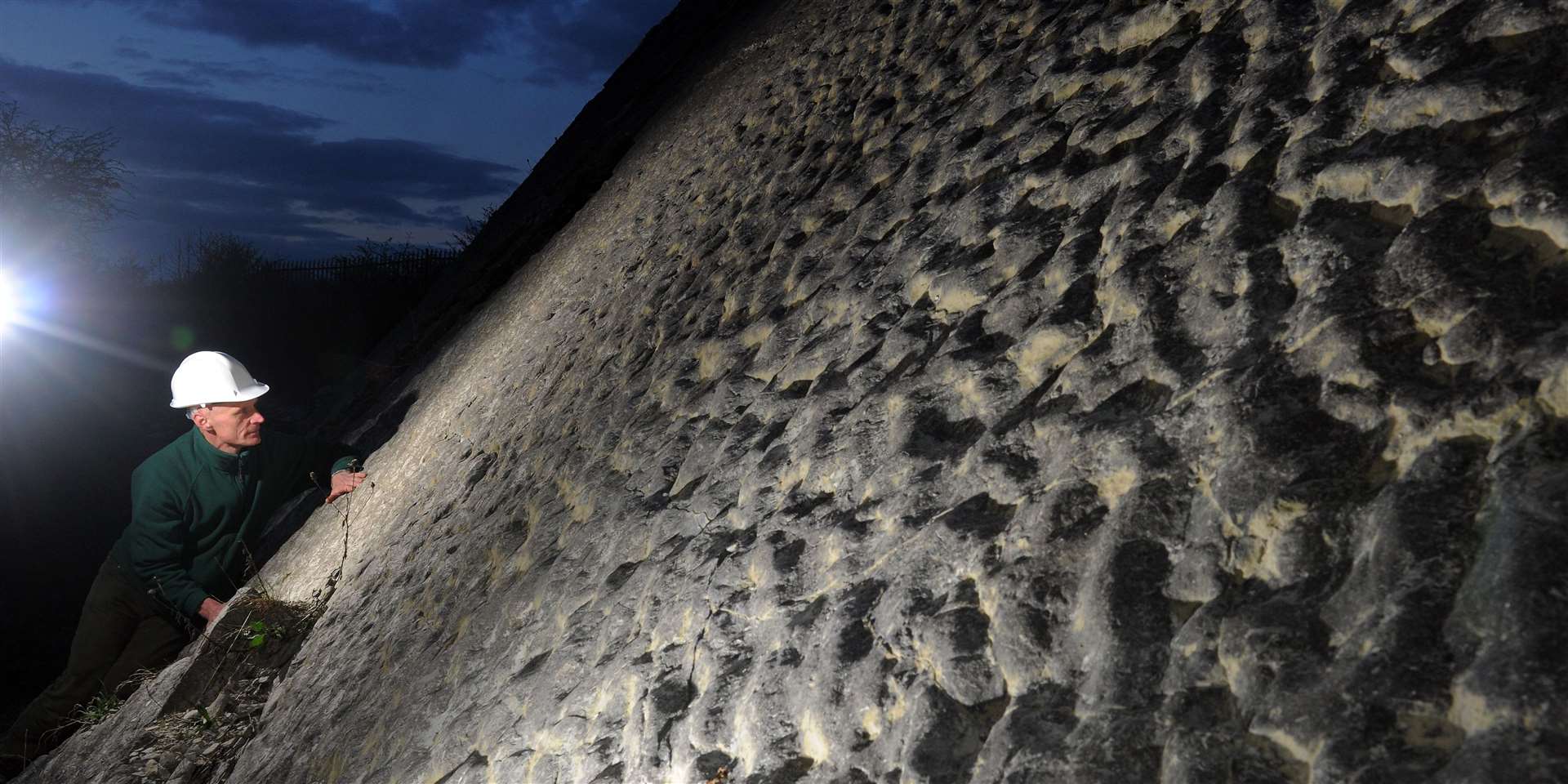 A view of fossilised ripple beds at Dudley’s Wren’s Nest National Nature Reserve (Credit: Phil Riley)