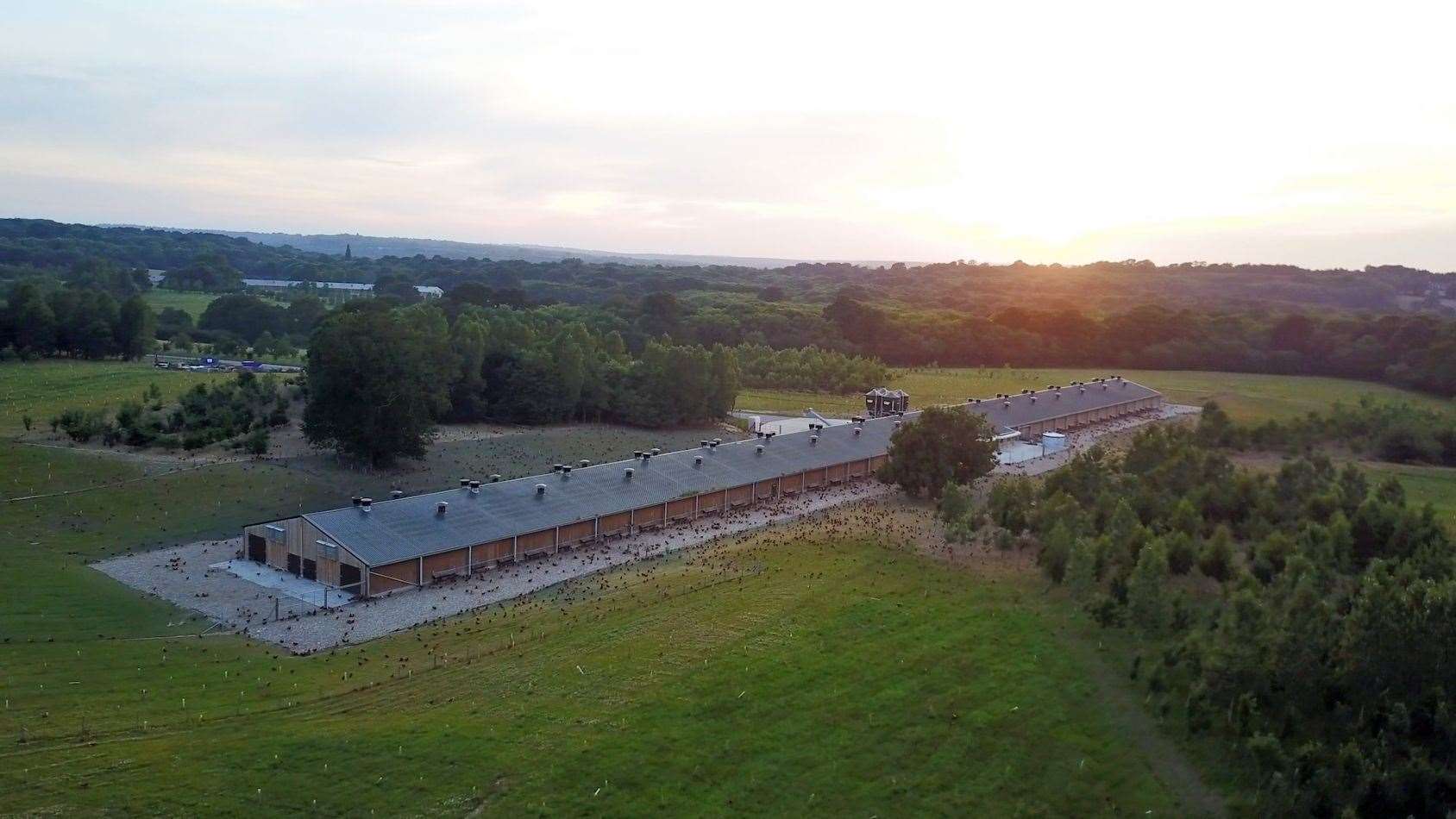 An existing Fridays chicken shed