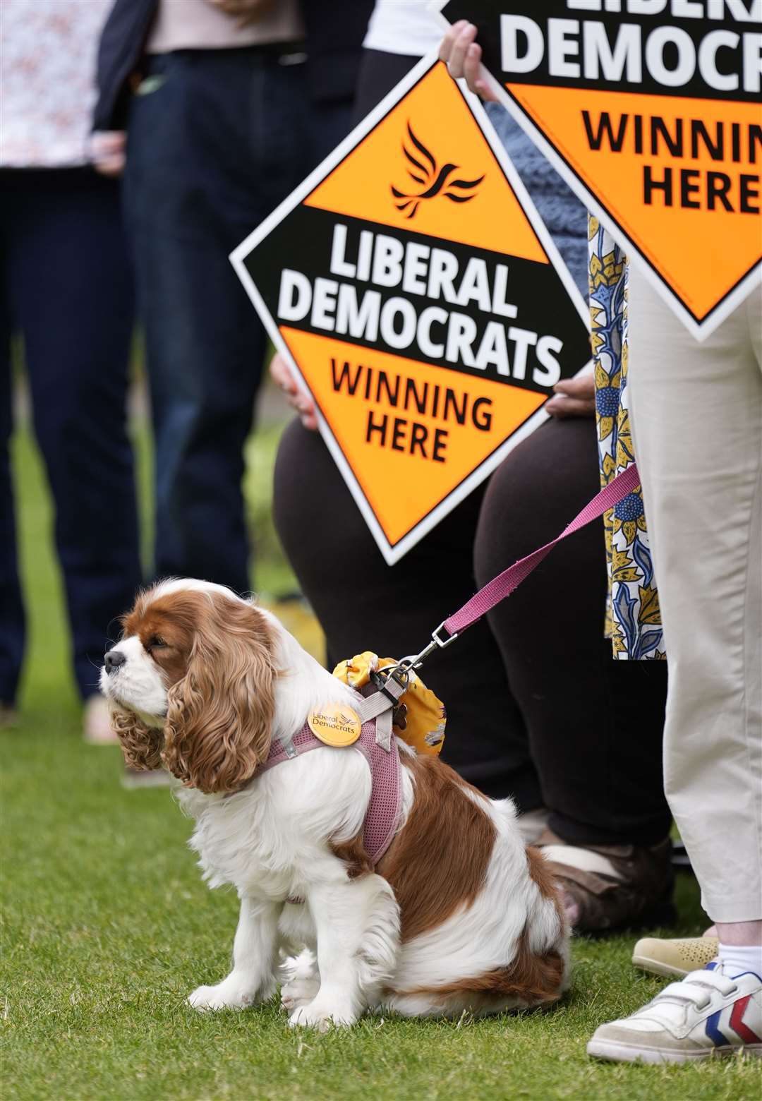 Sir Ed later visited Abbey Gardens in Winchester, Hampshire, where he was welcomed by supporters including a dog sporting a Lib Dem badge (Andrew Matthews/PA)