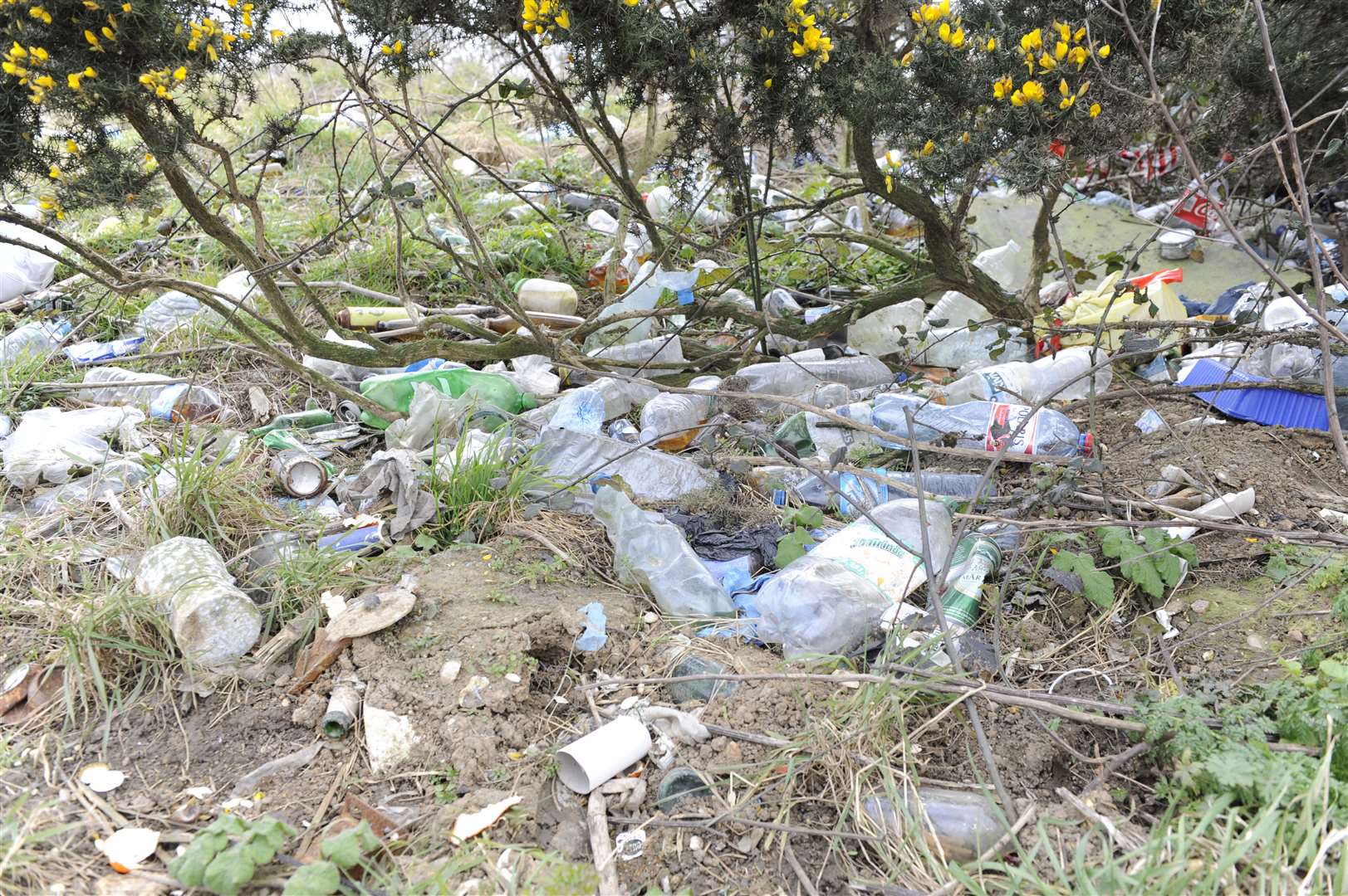 More litter on the verges at A20 between Dover and Hougham